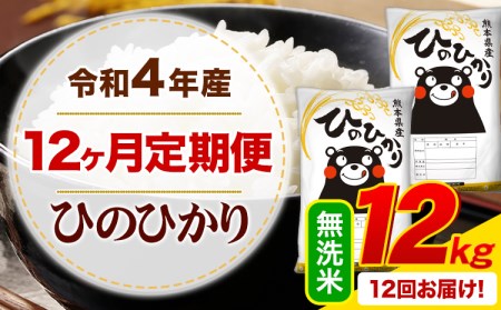 新米 令和5年産 ひのひかり  無洗米 《お申込み月の翌月から出荷開始》 10kg (5kg×2袋) 計12回お届け 熊本県産 単一原料米 ひの 熊本県 御船町