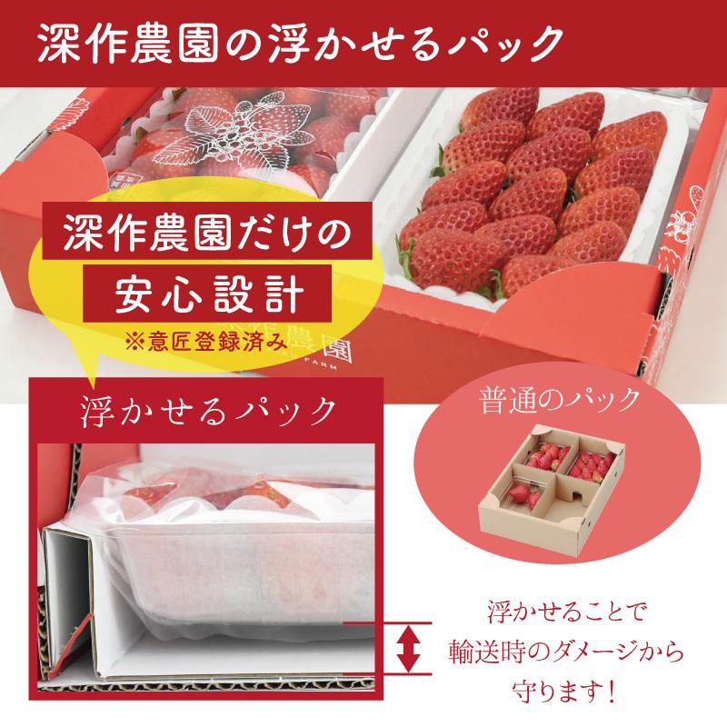 いちご イチゴ 苺 果物 ギフト 旬 フルーツ おすすめ2品種 プレミアムパック2L〜3L×2パック