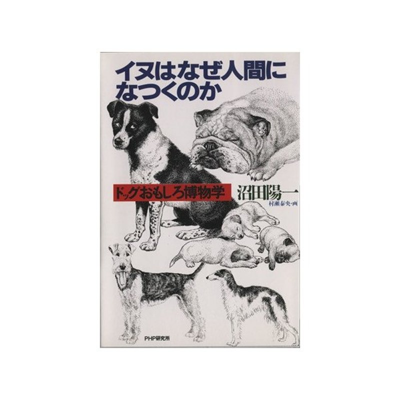 イヌはなぜ人間になつくのか ドッグおもしろ博物学 沼田陽一 著者 通販 Lineポイント最大0 5 Get Lineショッピング