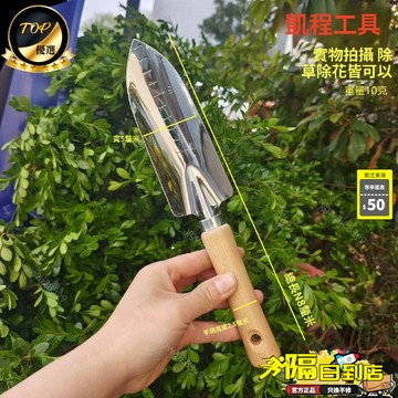 免運費🚀園藝大三件套盆栽小鏟子花園小鐵鏟室內花卉盆栽鬆土種花種菜工具🔥XYY