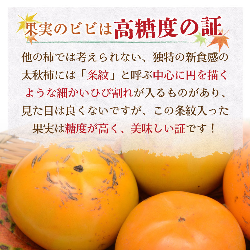 [予約 10月1日-11月30日の納品] 太秋柿 約 2kg 5-10玉 甘柿 かき たいしゅうがき 秋ギフト 愛媛 福岡 熊本 他 化粧箱 柿