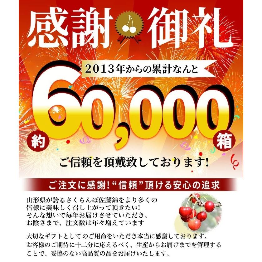 さくらんぼ 紅秀峰 2Lサイズ 300g 鏡詰め 山形 特秀 2024 山形県産 サクランボ お中元 ギフト プレゼント 送料無料  (遠方送料加算)