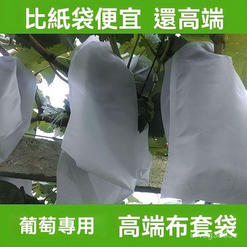 臺灣有貨⚡【自帶抽繩】葡萄水果套袋防蟲防鳥防雨水果網袋無花果透氣防寒布 DFFK