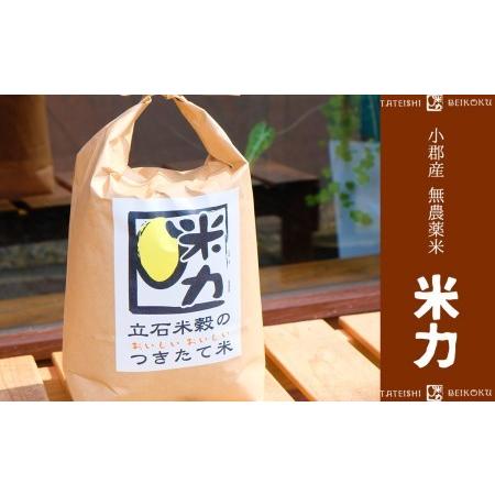 ふるさと納税 お米マイスターがお届け 当日精米 小郡産 無農薬米 「米力」 6kg 福岡県小郡市