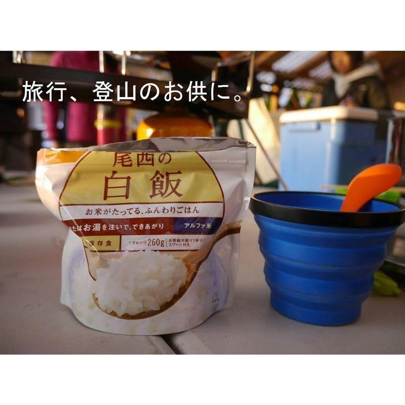 尾西食品 アルファ米 山菜おこわ100g×5袋 (非常食・保存食)