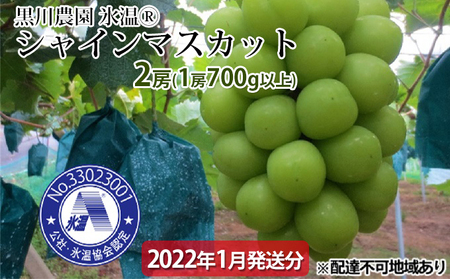 ぶどう 氷温(登録商標) シャインマスカット 2房（1房700g以上） マスカット ブドウ 葡萄  岡山県産 国産 フルーツ 果物 ギフト 黒川農園