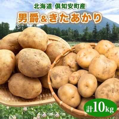 ふるさと納税 倶知安町 北海道産 じゃがいも 2種 男爵 きたあかり 計約10kg 倶知安町