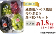 ぶどう 2024年 先行予約 旬のぶどう 食べ比べセット 約1.8kg 3～5房 減農薬／ハウス栽培 ブドウ 葡萄  岡山県産 国産 フルーツ 果物 ギフト ばんの農園