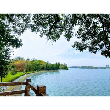 環島旅遊｜最高折5百｜冬山河綠舟.新城老街.藍皮解憂號.澄清湖富國島.七股祈福鹽三日｜台中出發_26XGRUN1CJ