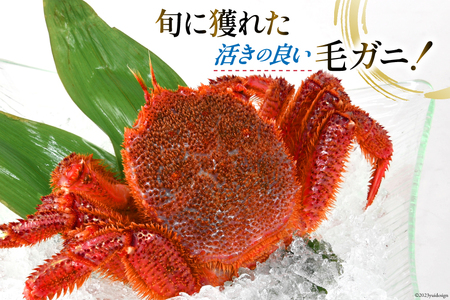 ＜先行予約＞かに 三陸産浜ゆで毛ガニ 約500g [村東商店 宮城県 気仙沼市 20562140] 冷蔵 カニ 毛がに 魚介 海鮮 毛ガニ 毛蟹 毛がに 蟹