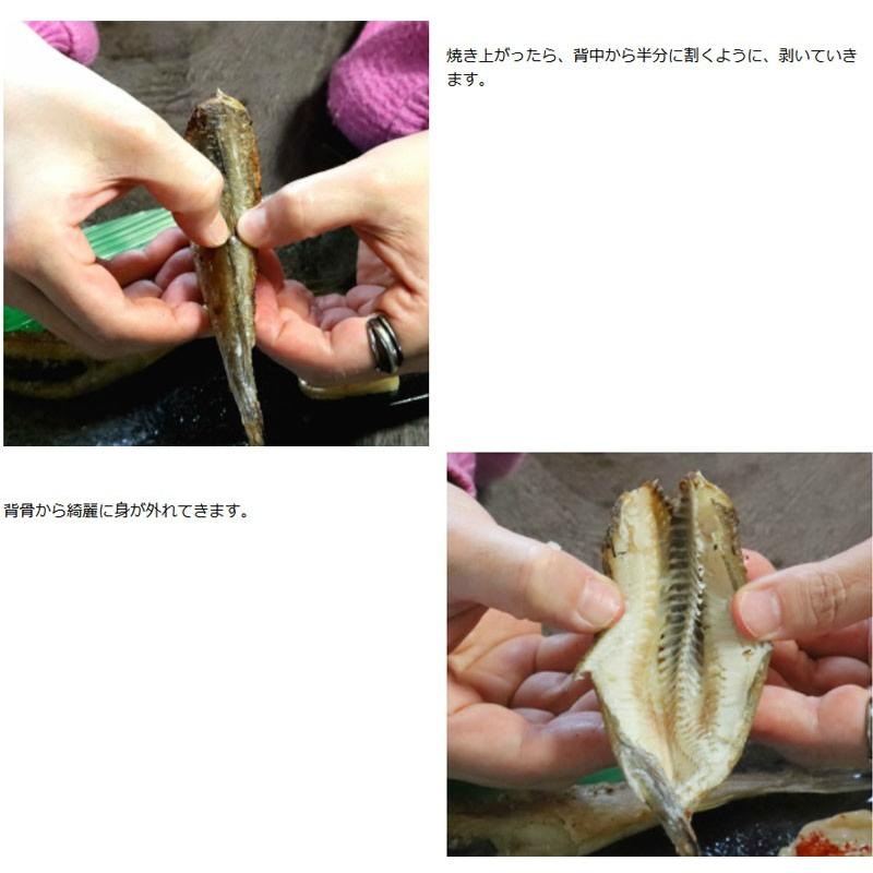 こまい 一夜干し 生干し 北海道産 1kg 送料無料 氷下魚（こまい） 別途送料が発生する地域あり