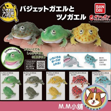 【M.M小舖】 『現貨』 BANDAI 轉蛋 扭蛋 生物大圖鑑 圓眼珍珠蛙與角蛙 青蛙 圖鑑 生物 模型 公仔 全5款