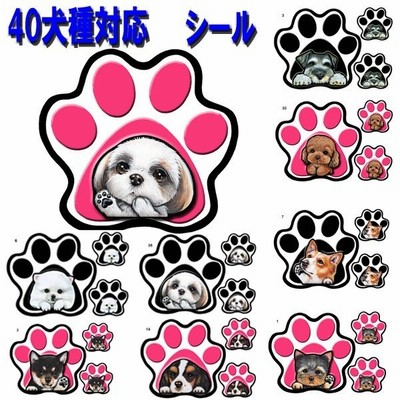 パウ ステッカー 犬 シール 肉球 足跡 可愛い 車 壁 玄関 グッズ プレゼント ドッグ イラスト シルエット かわいい 顔 通販 Lineポイント最大get Lineショッピング