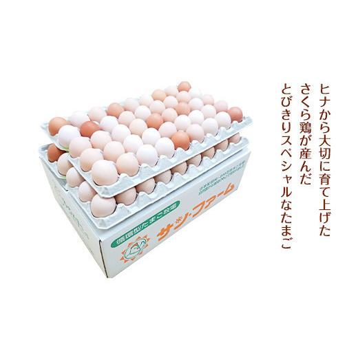 ふるさと納税 熊本県 宇城市 朝採り さくらたまご 90個（Mサイズ）卵 10個破損補償含む