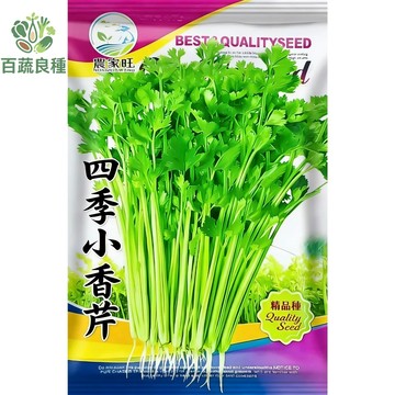 原裝四季小香芹種子 西洋芹 荷蘭芹 香葉 廚房必備香料 陽台盆栽 全年可播 速成葉菜 料理提味 切不斷收成 耐陰耐熱好種