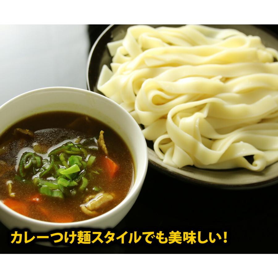 本なま麺　ほうとう　特製カレースープ　10食セット 送料無料 送料無料(※北海道、九州、四国、沖縄は別途送料加算となります)