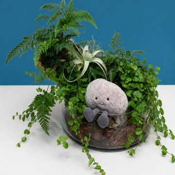 🚚限雙北配送【CNFlower】森語漫居盆栽 Jellycat 趣味鵝卵石 (玻璃圓盤)