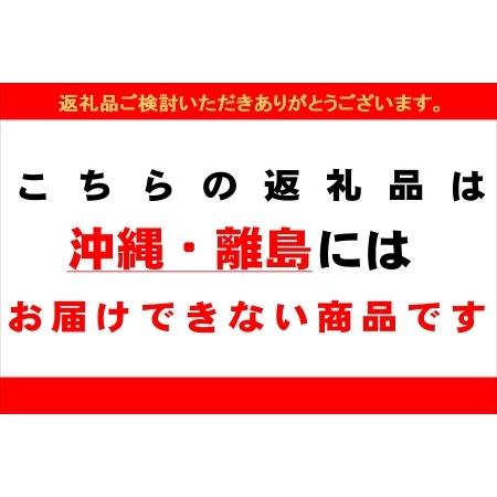 ふるさと納税 新米予約受付いのちの壱 27kg すがたらいす  2023年産 お米 米 精米 下呂市金山産 岐阜県下呂市