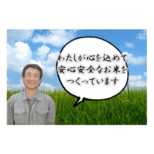 ふるさと納税 新潟県 阿賀野市 特別栽培米 コシヒカリ 10kg×10回 新潟県認証  1G03200