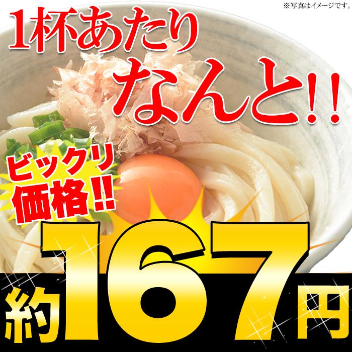 鎌田醤油特製ダシ醤油6袋付き!!讃岐うどん6食分600g（300g×2袋）-ゆうパケット出荷