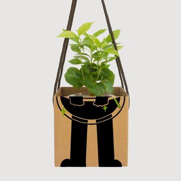 │ 居家小物│ 送禮手提禮盒 - 植物提盒 防撞禮盒 提袋