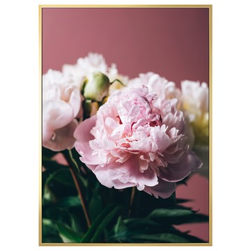 BOLUO GALLERY 菠蘿選畫所 粉與白 牡丹II BFFB3468G  40 x 30cm  金色