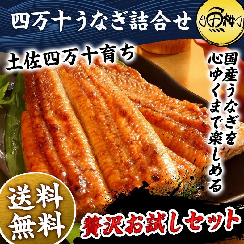 うなぎ 蒲焼き 国産最高級 四万十うなぎ お取り寄せグルメ 詰め合わせ プレゼント お歳暮 2023 ギフト  鰻