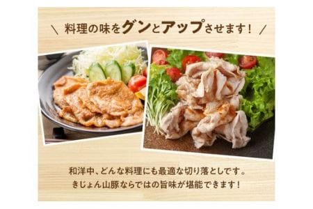 宮崎県産ブランドポーク 豚肉切り落とし 3.5kg 