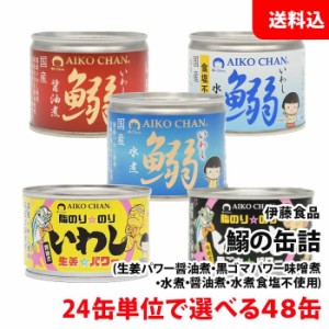 送料無料 伊藤食品 いわしの生姜パワー いわし黒ごまパワー(味噌煮) 鰯の缶詰 (水煮 水煮食塩不使用 ?油煮) 選べる48缶 (2箱) あいこちゃ