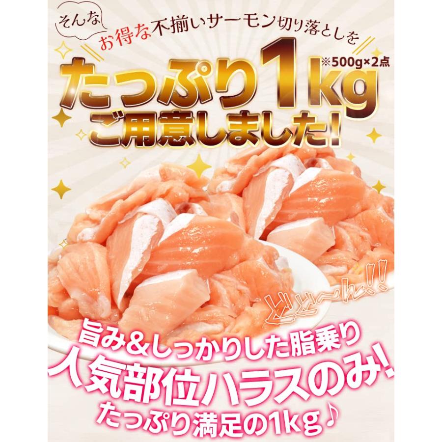 サーモン ハラス 切り落とし 刺身用 １ｋｇ（生サーモン５００ｇ 炙りサーモン５００ｇ）サイズ不揃い お値打ち品 トロ 生食 アトランティックサーモン