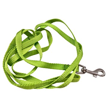 PetSafe 普立爾 拉繩 適用於11kg以下的小型犬  綠色  180 x 1.8cm  1條