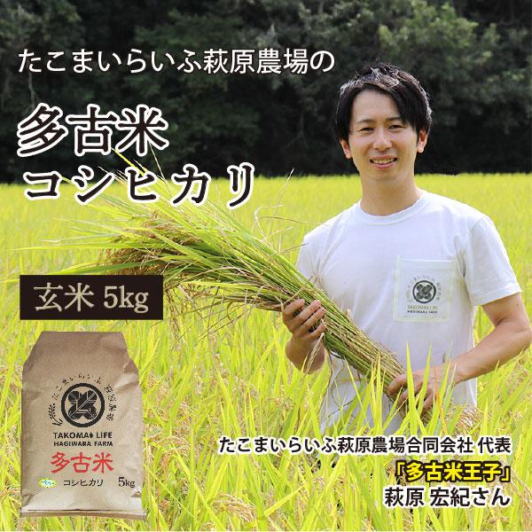 ＜令和5年度産＞送料無料　萩原さん家の多古米(玄米5kg）