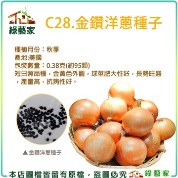 【綠藝家】C28.金鑽洋蔥種子0.38克(約95顆)(有藥劑處理)