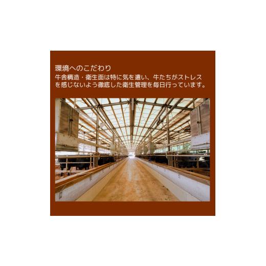 ふるさと納税 鹿児島県 伊佐市 isa295 鹿児島県産黒毛和牛 伊佐黒王牛カタローススライス・すき焼き用！(計1kg・500g×2パック) 伊佐ブランド牛の極上の味をご…