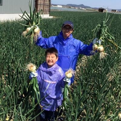 ふるさと納税 南あわじ市 淡路島産新玉ねぎ5kg◆配送2月中旬〜