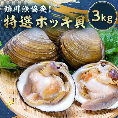 ふるさと納税 むかわ町 鵡川漁協発!特選ホッキ貝(3kg)