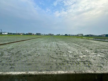 永慶阿娥~近高速公路交流道26米大面寬足坪農地｜宜蘭縣壯圍鄉功勞段