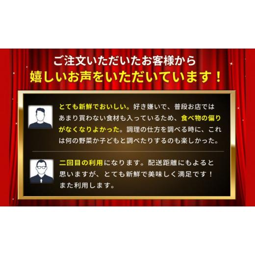 ふるさと納税 静岡県 袋井市 とれたて 野菜パック  季節の野菜 セット 詰め合わせ 10品前後 野菜セット 野菜詰め合わせ 野菜 ジャガイモ 人参 大根 小松菜 白…