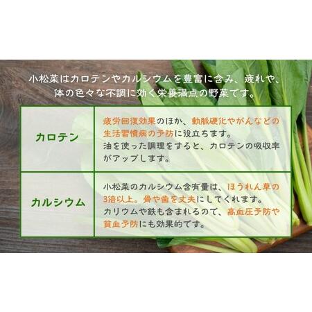 ふるさと納税 小松菜カレー 4個 福岡県朝倉市