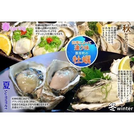 ふるさと納税 北海道厚岸産　殻付き＋ムキ身の牡蠣セット（生食用） 北海道 牡蠣 カキ かき 生食 生食用 むき身 むき牡蠣 殻付 ミルク 食べ比べ 北海道厚岸町