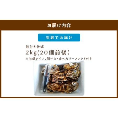 ふるさと納税 京都・久美浜産　殻付き牡蠣2kg（20個前後）牡蠣ナイフ付 京都府京丹後市