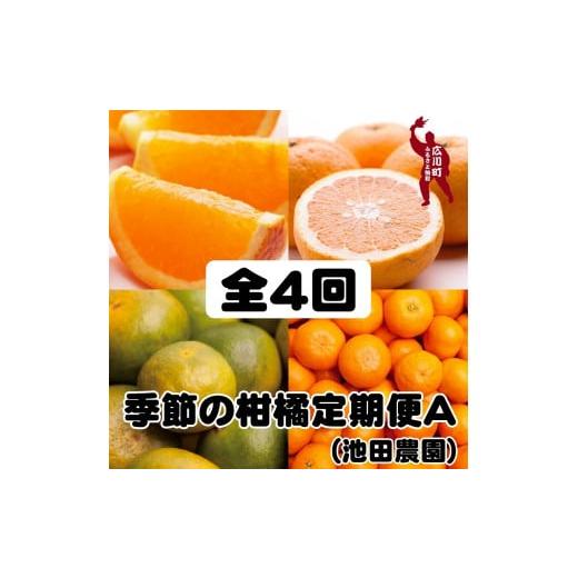 ふるさと納税 和歌山県 広川町 季節の柑橘定期便A※北海道・沖縄・離島への配送不可 ／ 定期便 フルーツ  みかん はっさく 清見 せ…