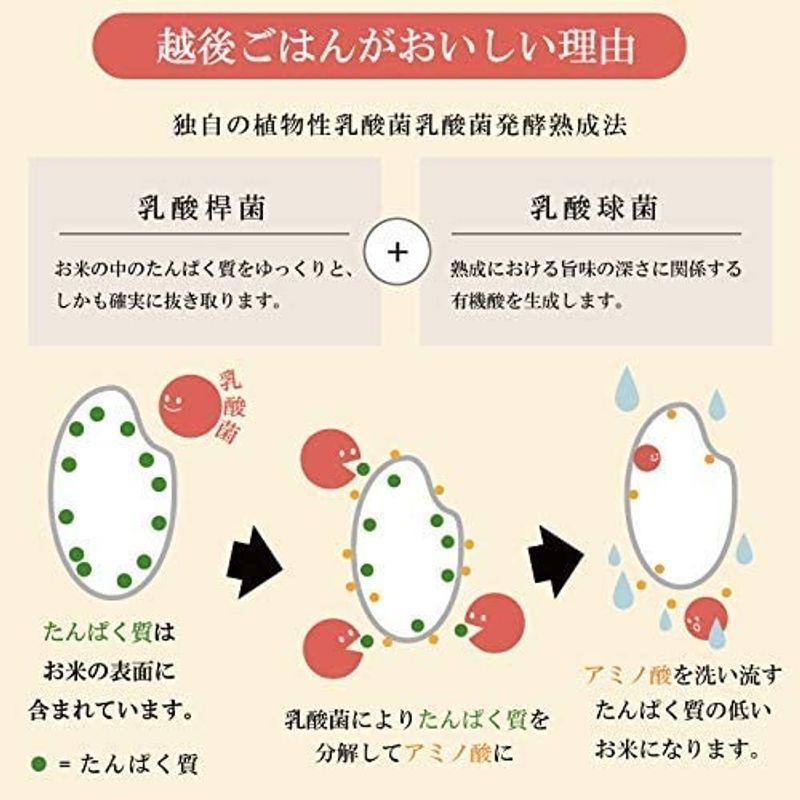 20越後ごはん (150g×20個) たんぱく質0.19g たんぱく質調整 低たんぱく レトルト パックごはん