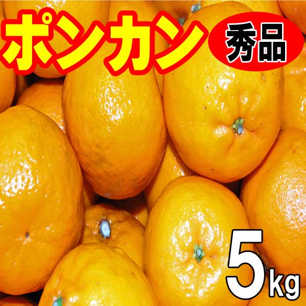 愛媛産　ポンカン　秀品ギフト贈答用　５ｋｇ　送料無料　産地直送