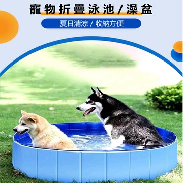 【Rising】（寵物折疊水池）折疊泳池 毛孩泡澡盆 寵物洗澡盆 寵物水盆 可折疊收納 寵物泳池 游泳池 戲水池