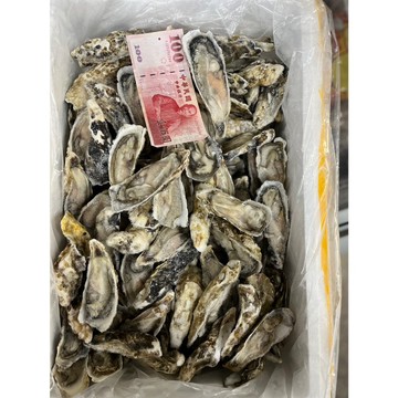 半殼生蠔 生蠔 烤肉 250克  全家滿799免運【8年級生鮮】
