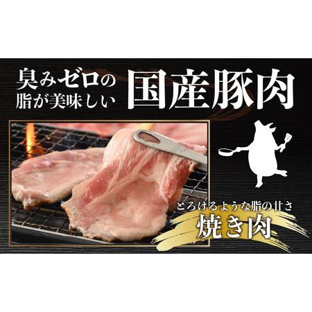 ふるさと納税 肉好き大集合！臭みゼロの豚肉「荒島ポーク」食べ比べ 定期便！ 福井県大野市