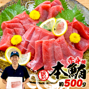 訳あり 本まぐろ 赤身 約500g (大人気マグロ 人気マグロ 絶品マグロ 至高マグロ 美味しいマグロ 訳あり詰め合わせ ギフトマグロ 訳あり新鮮マグロ 訳あり本格マグロ 訳ありマグロ 訳ありFN-SupportProject FN-SupportProject  訳ありマグロ 訳あり中トロ 訳あり冷凍 訳あり本マグロ 訳あり鮪 訳あり藤枝鮪 訳あり静岡鮪 訳あり鮪大容量 訳あり本格鮪 訳あり人気鮪 訳ありまぐろ 訳ありさしみ 訳ありサシミ)