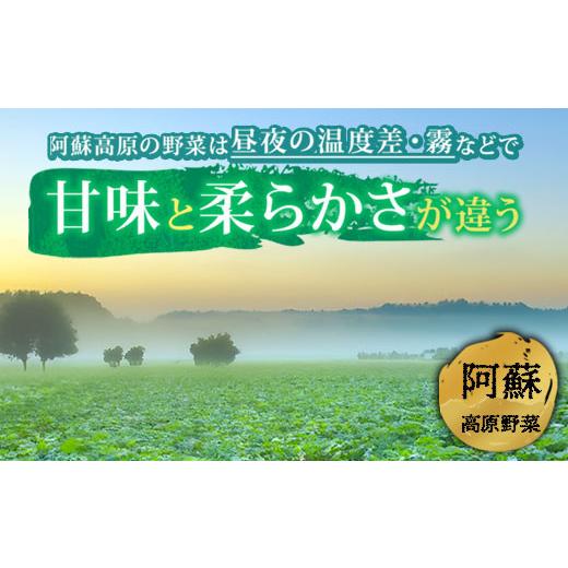 ふるさと納税 熊本県 阿蘇市 季節のお野菜セットとお米のセット