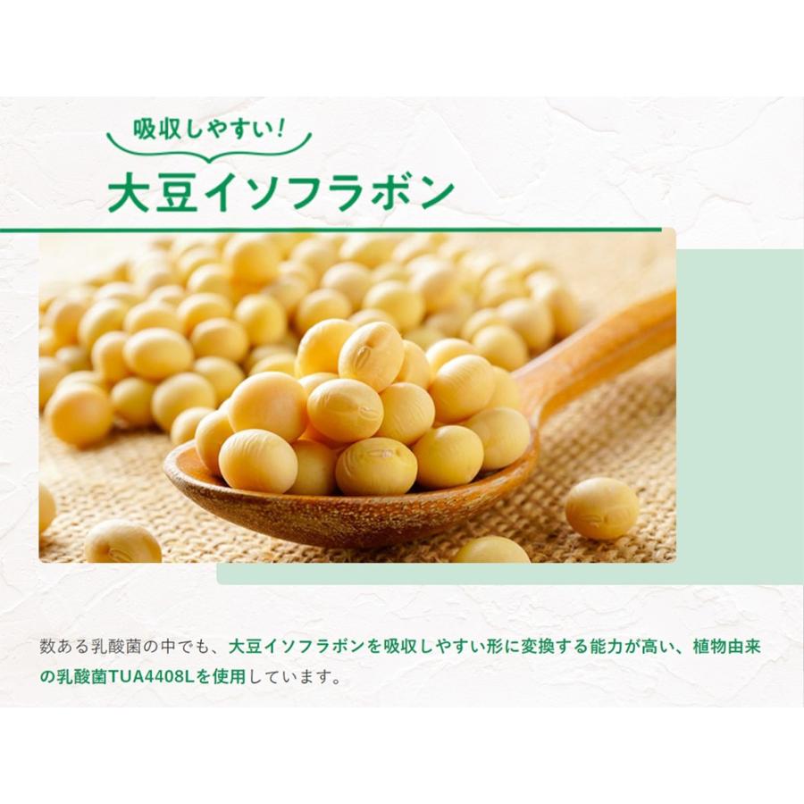 冷蔵 マルサンアイ 豆乳グルト(機能性表示食品) 400g×6個